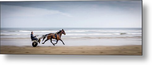 Pony Metal Print featuring the photograph Pony and Trap by Nigel R Bell