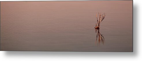 Water Metal Print featuring the photograph Reflections by Brad Barton