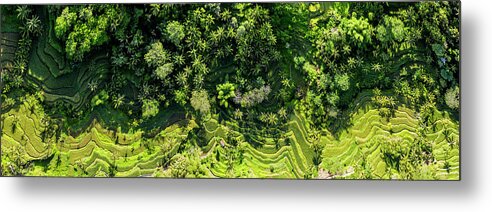 Panorama Metal Print featuring the photograph Tegallalang Rice Terrace aerial bali indonesia by Sonny Ryse