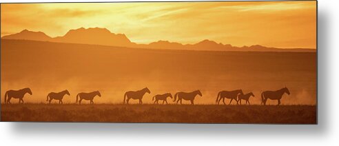 Wild Horses Metal Print featuring the photograph Wild Sunset Panorama by Mary Hone