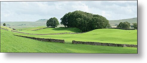 Panorama Metal Print featuring the photograph Yorkshire Dales Wensleydale Fields by Sonny Ryse