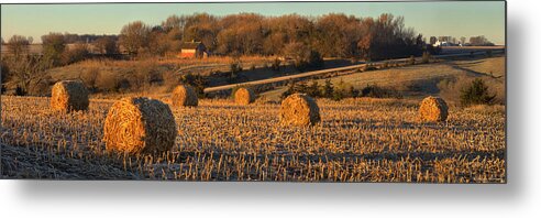 Autumn Metal Print featuring the photograph Autumn Morning Bales by Bruce Morrison