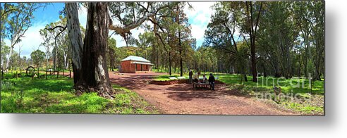 Wilpena Pound Homestead Historical Heritage Flinders Ranges South Australia Australian Landscape Landscapes Pano Panorama Gum Trees Metal Print featuring the photograph Wilpena Pound Homestead by Bill Robinson