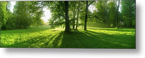 Landscape Park Metal Print featuring the photograph Green sunrise by Sun Travels