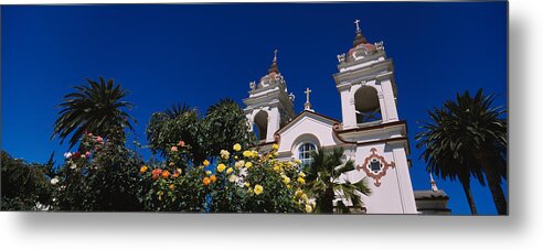 Photography Metal Print featuring the photograph Plants In Front Of A Cathedral by Panoramic Images