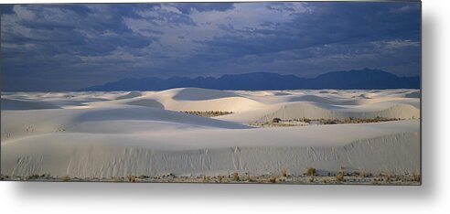 Feb0514 Metal Print featuring the photograph Soaptree Yucca In Gypsum Dunes White by Konrad Wothe