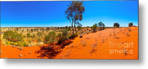 The Road To Uluru Outback Landscape Central Australia Australian Gum Tree Desert Arid Sand Dunes  Metal Print featuring the photograph The Road to Uluru by Bill Robinson