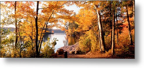 Photography Metal Print featuring the photograph Trees At The Lakeside, Great Sacandaga by Panoramic Images