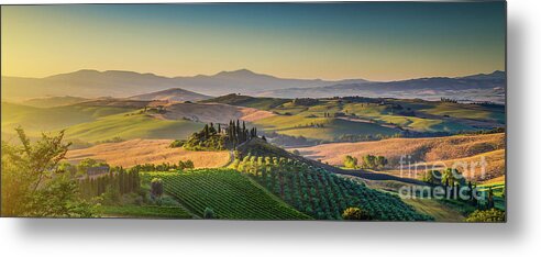 Agriculture Metal Print featuring the photograph A Golden Morning in Tuscany #3 by JR Photography