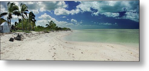 Nature Metal Print featuring the photograph The Spirit of Caribbean by Robert Grac