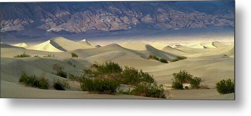Mesquite Flats Metal Print featuring the photograph Mesquite Flat Sunset by Ed Riche