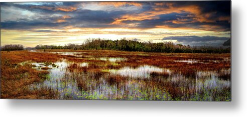 Clouds Metal Print featuring the photograph Panorama Overlooking the Marsh by Debra and Dave Vanderlaan
