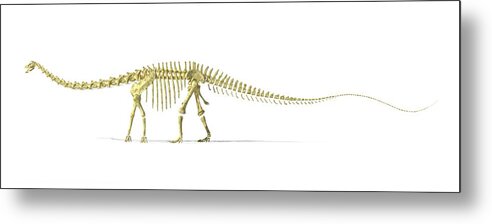 Jurassic Metal Print featuring the digital art Diplodocus Dinosaur Skeleton, Artwork by Leonello Calvetti