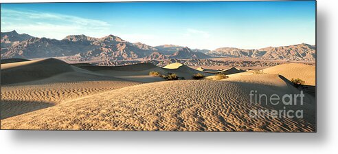 Valley Metal Print featuring the photograph Mesquite dunes pano by Jane Rix