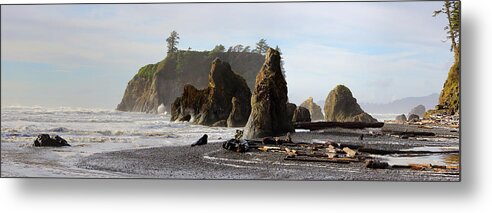 Landscape Metal Print featuring the photograph Ruby Beach by David Andersen