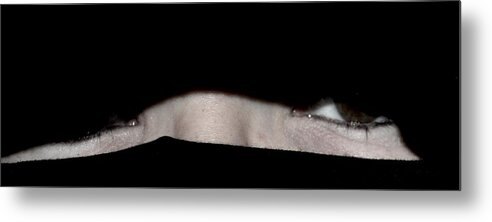 Michelle Metal Print featuring the photograph She's Peeking by Michelle McPhillips