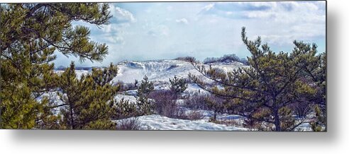 Sandy Neck Metal Print featuring the photograph Snow Covered Dunes Photo Art by Constantine Gregory