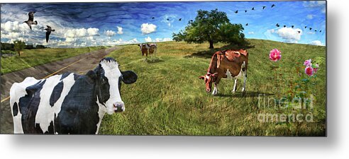 Cows. Field Metal Print featuring the photograph Cows in field, ver 3 by Larry Mulvehill