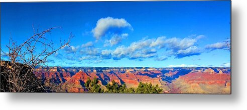 Grand Canyon South Rim Metal Print featuring the photograph Grand Canyon South Rim by Kume Bryant