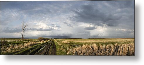 2015 Metal Print featuring the photograph The Road Is Never Easy by Sandra Parlow