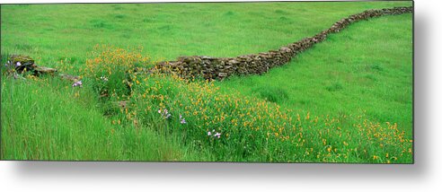 Scenics Metal Print featuring the photograph Meadow With Stone Wall And Wildflowers by Mint Images - David Schultz