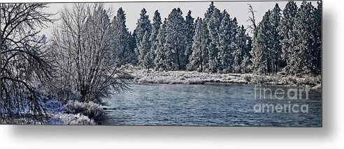 Art For The Wall...patzer Photography Metal Print featuring the photograph Art of Winter by Greg Patzer