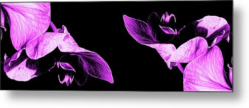 Wide Format Metal Print featuring the photograph Orchids - Soaring Together by VIVA Anderson
