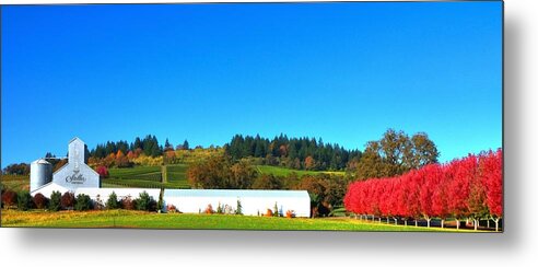 Fall Metal Print featuring the photograph Stoller Storage Driveway 19828 by Jerry Sodorff