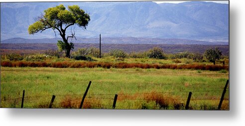 Texas Metal Print featuring the photograph Texas Landscape 16095 by Jerry Sodorff