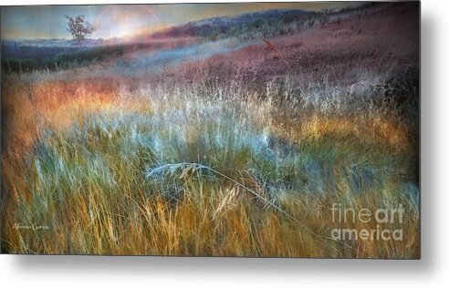 Fields Metal Print featuring the photograph Andalucia by Alfonso Garcia