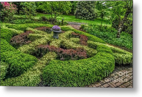 New Jersey Metal Print featuring the photograph Celtic Topiary at Frelinghuysen Arboretum by Christopher Lotito