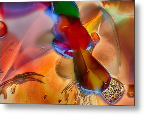 Dragonflying Metal Print featuring the photograph DragonFlying by Omaste Witkowski