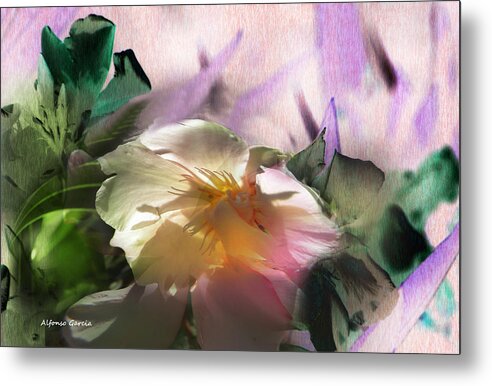 Flowers Metal Print featuring the photograph Adios Primavera by Alfonso Garcia