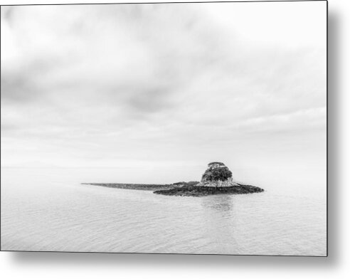 Birds Metal Print featuring the photograph China Camp by Don Hoekwater Photography