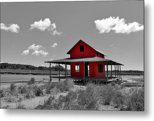 Grass Island Metal Print featuring the photograph Standing Out all Alone by Catie Canetti