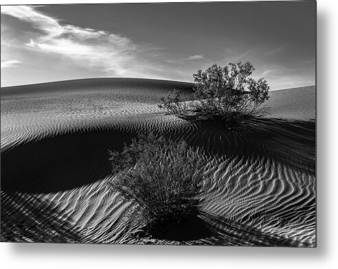 Mesquite Dunes Metal Print featuring the photograph Mesquite Flats Sand Dunes in Black and White by Don Hoekwater Photography