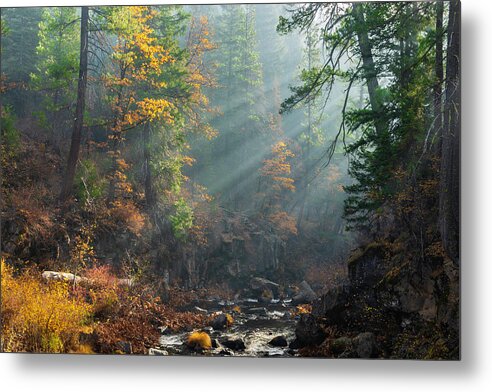 Mccloud Metal Print featuring the photograph Sunbeams on the McCloud River by Don Hoekwater Photography