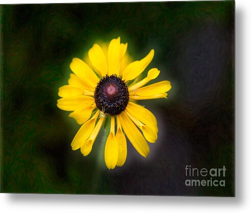 2014 Metal Print featuring the photograph Friend With Benefits Yellow Flower Artwork by Omaste Witkowski by Omaste Witkowski