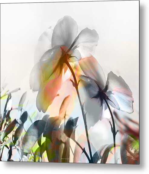 Floral Photos Metal Print featuring the photograph Danza en Primavera by Alfonso Garcia