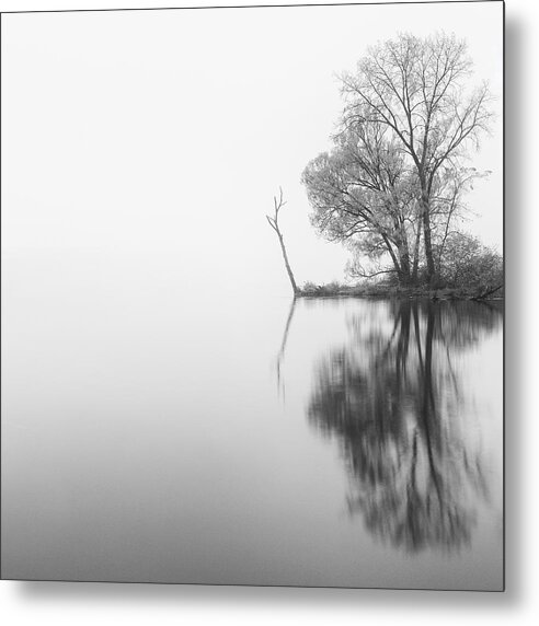 Pxl Metal Print featuring the photograph Solitude by Michele Steffey