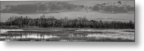 Cloud Metal Print featuring the photograph Everglades Panorama BW by Debra and Dave Vanderlaan
