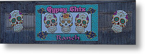 Gypsy Chix Ranch Metal Print featuring the photograph Gypsy Chix Ranch by Debra Martz