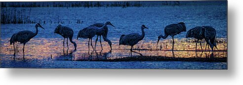 Animals Metal Print featuring the photograph Sandhill Cranes at Twilight by Bruce Bonnett