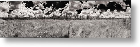 Everglades Metal Print featuring the photograph Florida Everglades by Raul Rodriguez