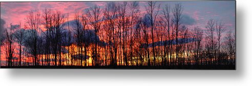 Atmosphere; Beauty; Clear; Climate; Cloud; Cold; Dawn; Dusk; Forest; Landscape; Nature; North; Outdoors; Park; Rural; Scene; Scenic; Season; Silence; Silhouette; Sky; Space; Sun; Sunlight; Sunrise; Sunset; Tranquil; Tree; Brilliant; Country; Countrys Metal Print featuring the photograph Winter Sunset Panorama by Frances Miller