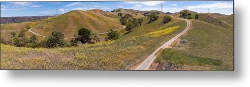 Landscapeaerial Metal Print featuring the photograph California Native Oak Trees Grow #5 by Ethan Daniels