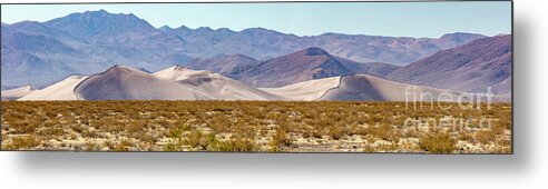 Big Dune Nevada Panorama Metal Print featuring the photograph Big Dune Nevada Panorama by Dustin K Ryan