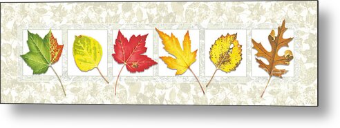 Leaf Metal Print featuring the painting Fall Leaf Panel #1 by JQ Licensing