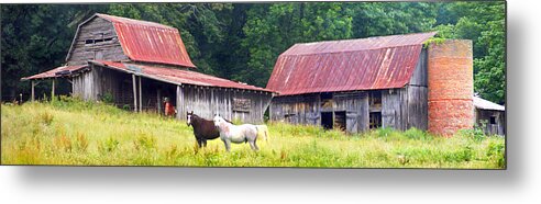 Duane Mccullough Metal Print featuring the photograph Barns and Horses near Mills River NC by Duane McCullough