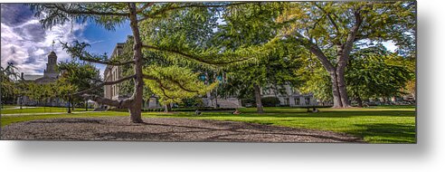 University Of Iowa Metal Print featuring the photograph Dancing Tree by Ray Congrove
